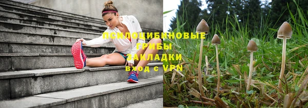 мяу мяу мука Нязепетровск