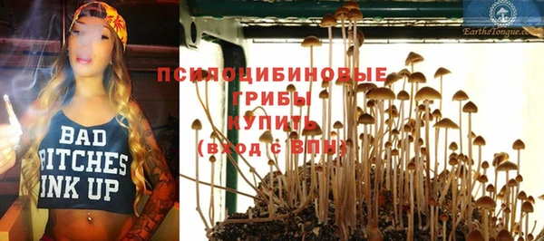 мяу мяу мука Нязепетровск