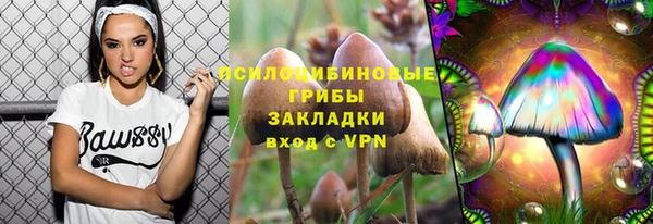 винт Нягань