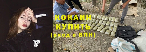 метадон Няндома